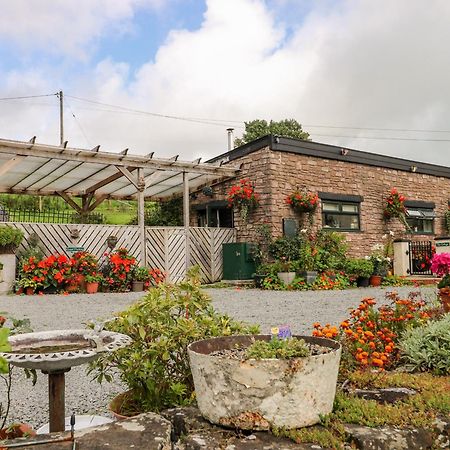 Ffynnonlwyd Cottage Llangynin Extérieur photo